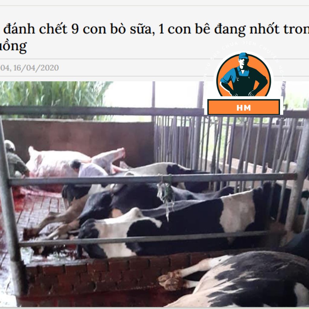 Tại sao cần lắp chống sét tại Lâm Đồng